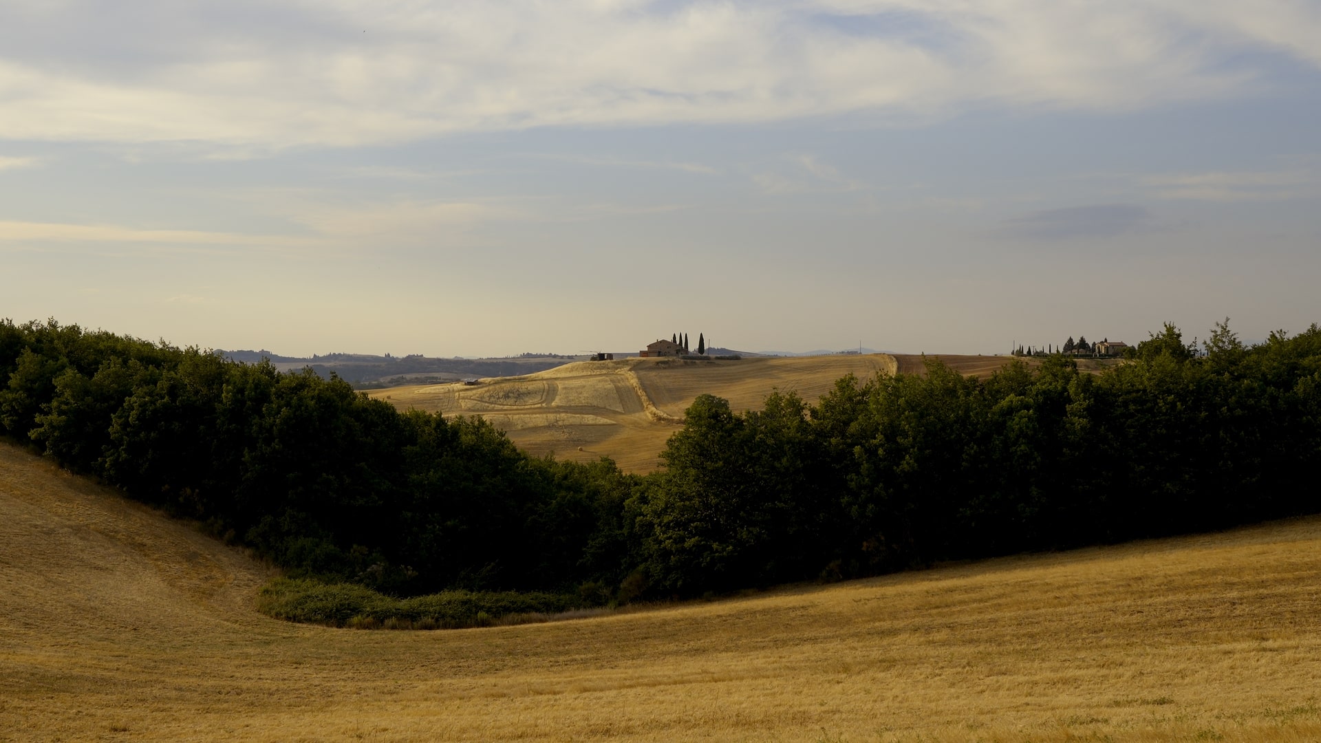 Tuscan Wedding