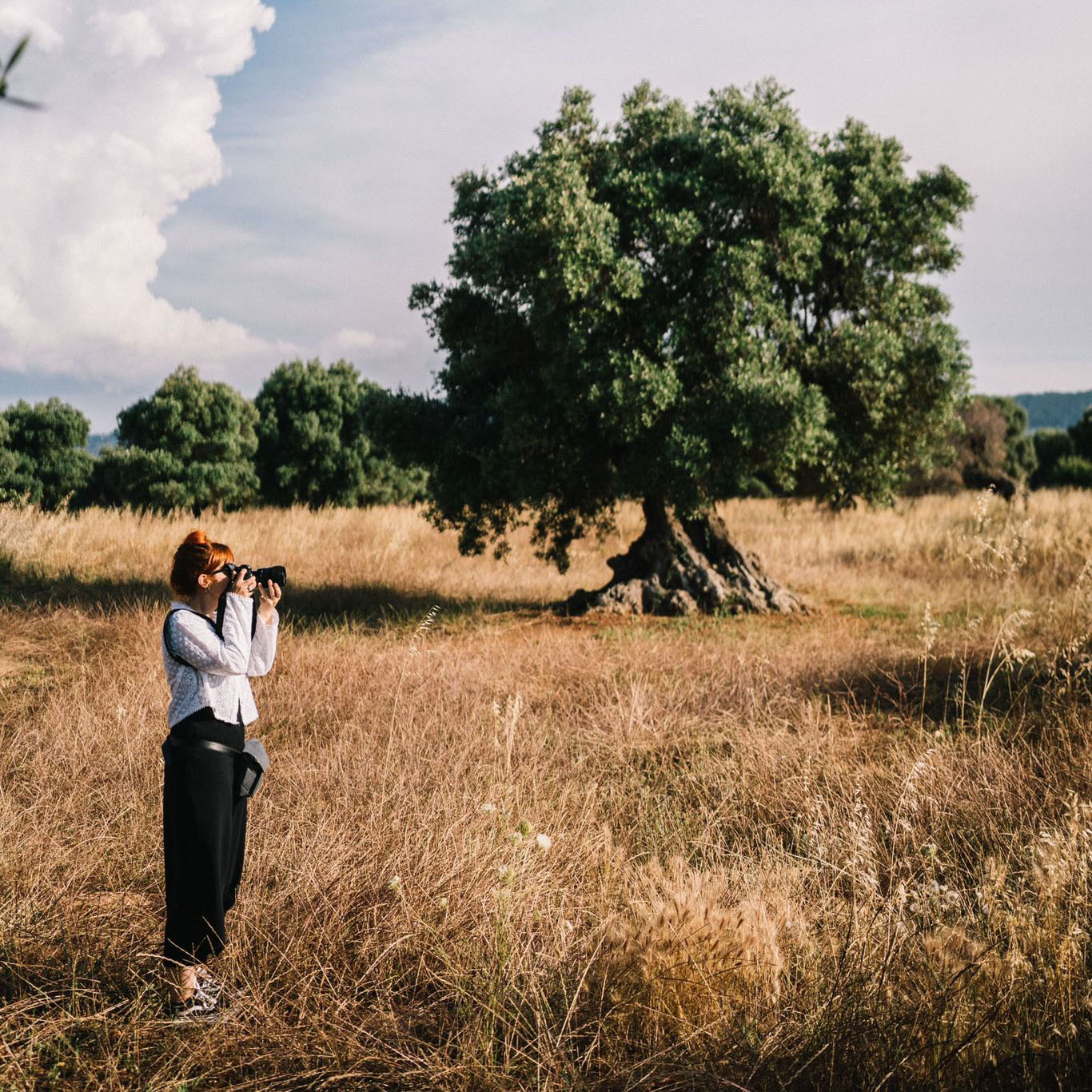 wedding videography cost
