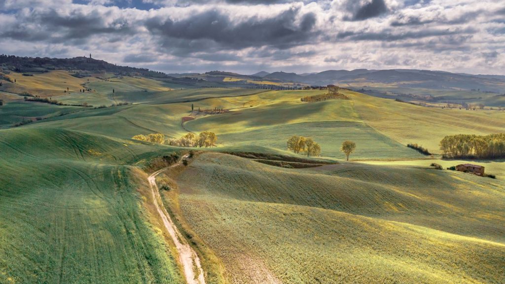 beautiful Tuscan landscape with hills and pine trees