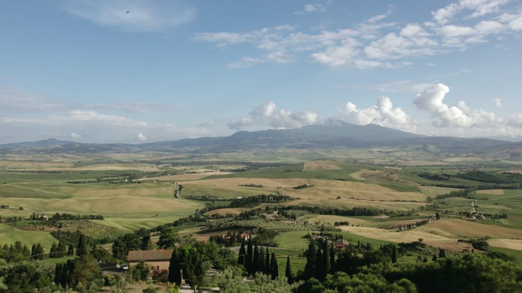 panoramic view of the green tuscan hills with the characteristic pine trees